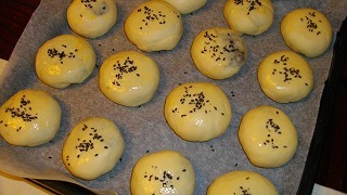 IMGP0726.jpg