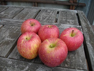 IMGP0840.jpg