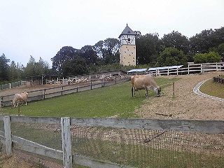 130602_131820.jpg