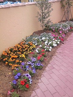 130602_134325.jpg