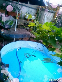 2013-08-15_14.46.00decr.jpg