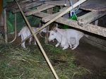 IMGP1023.jpg