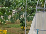 IMGP1057.jpg