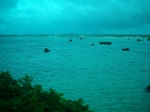 IMGP1083.jpg