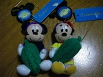 IMGP1158.jpg