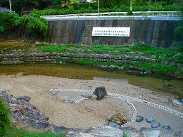 IMGP2277.jpg