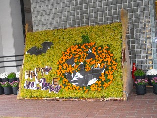 IMGP2545.jpg