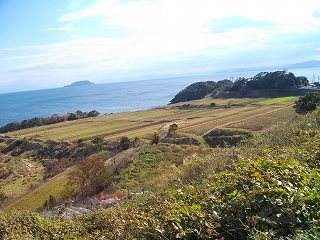 IMGP3470.jpg