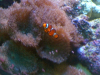 KIMG1040.jpg